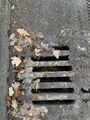 Foto: In der Kurve zu Beuststraße 6 Entwässerungsrinne mit Laub verstopft 